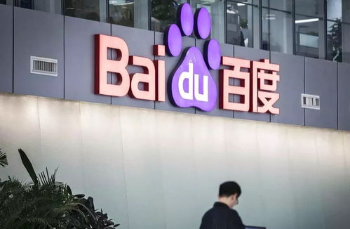 反馈蜘蛛池